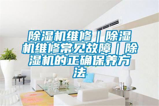 除濕機維修｜除濕機維修常見故障｜除濕機的正確保養方法