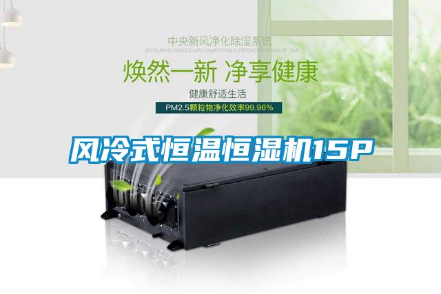 風(fēng)冷式恒溫恒濕機15P