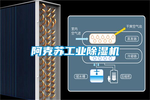 阿克蘇工業除濕機