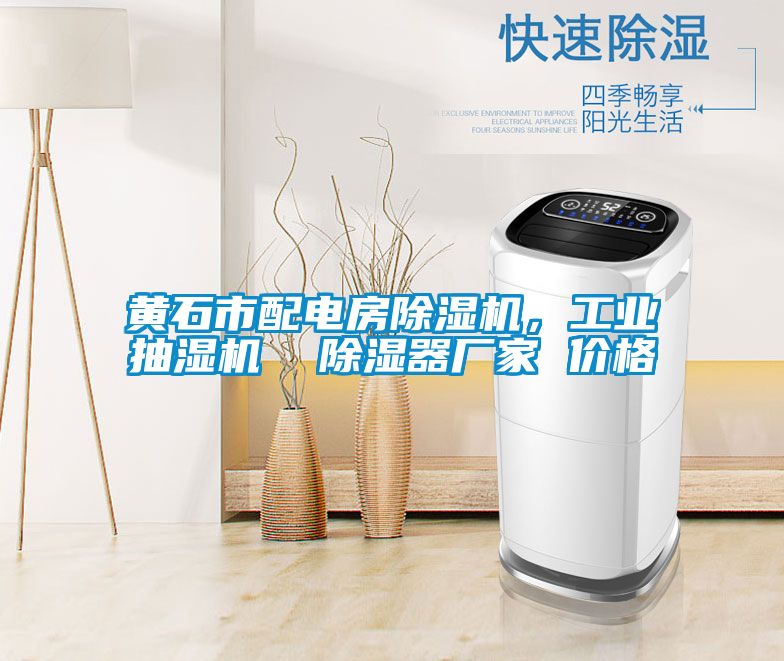 黃石市配電房除濕機，工業抽濕機  除濕器廠家 價格