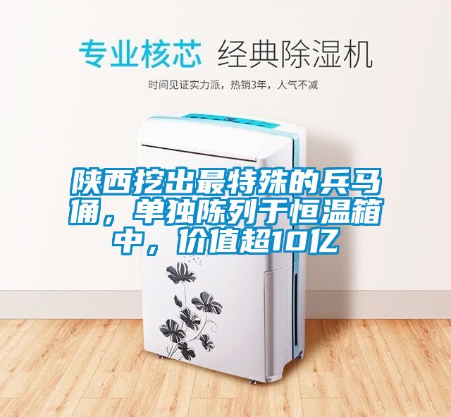 陜西挖出最特殊的兵馬俑，單獨(dú)陳列于恒溫箱中，價(jià)值超10億