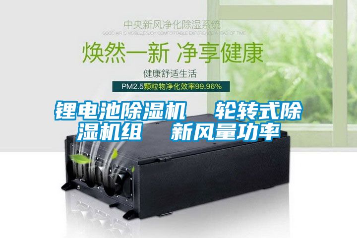鋰電池除濕機(jī) 輪轉(zhuǎn)式除濕機(jī)組 新風(fēng)量功率