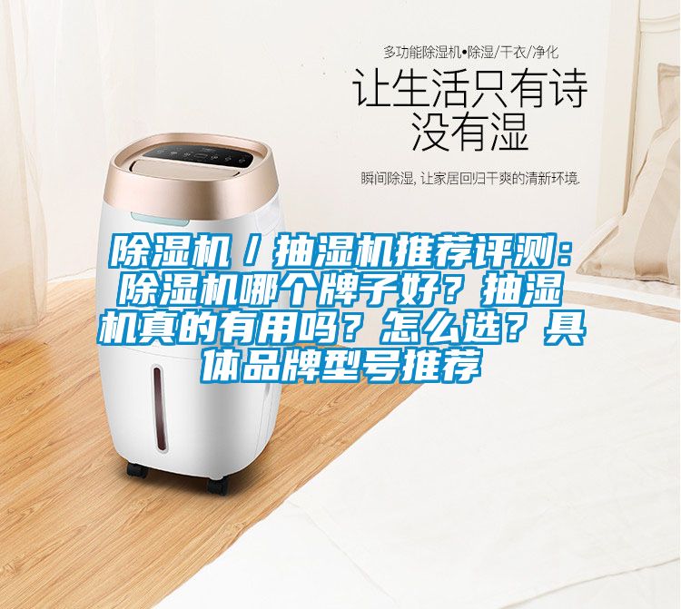 除濕機／抽濕機推薦評測：除濕機哪個牌子好？抽濕機真的有用嗎？怎么選？具體品牌型號推薦