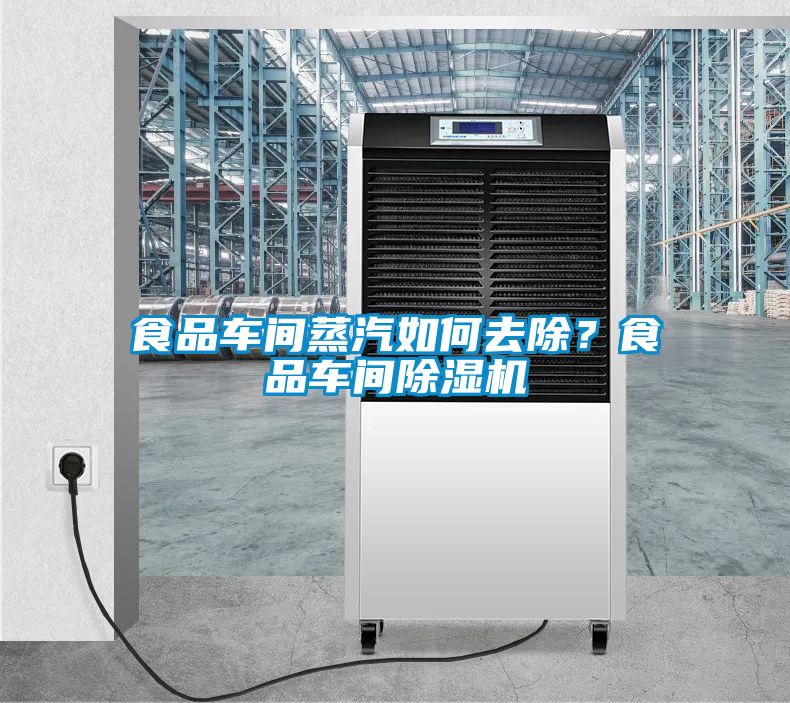 食品車間蒸汽如何去除？食品車間除濕機
