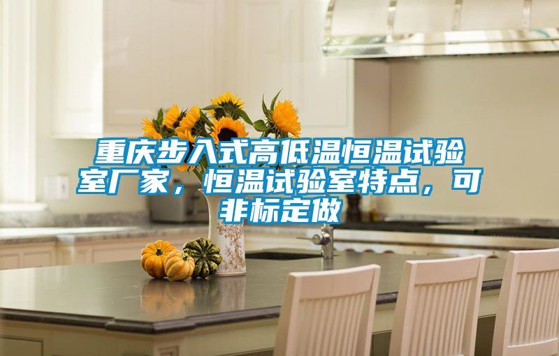 重慶步入式高低溫恒溫試驗室廠家，恒溫試驗室特點，可非標定做