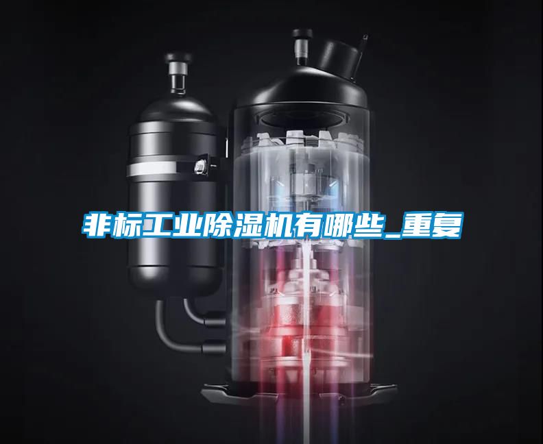 非標工業除濕機有哪些_重復