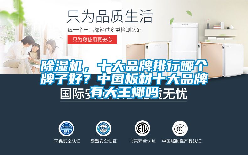 除濕機(jī)，十大品牌排行哪個(gè)牌子好？中國板材十大品牌有大王椰嗎