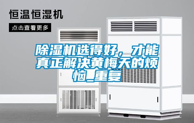 除濕機選得好，才能真正解決黃梅天的煩惱_重復