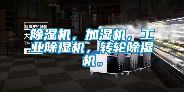 除濕機(jī)，加濕機(jī)，工業(yè)除濕機(jī)，轉(zhuǎn)輪除濕機(jī)。