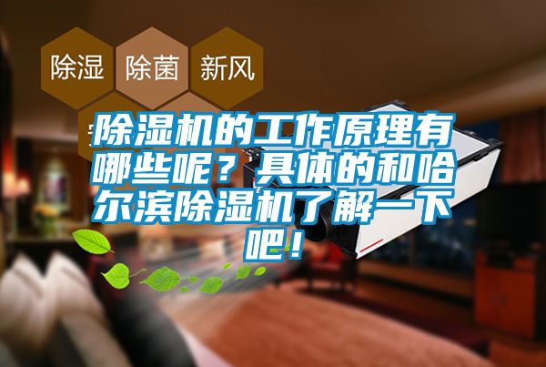 除濕機(jī)的工作原理有哪些呢？具體的和哈爾濱除濕機(jī)了解一下吧！