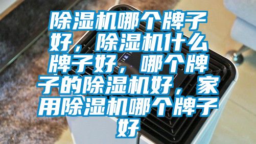 除濕機(jī)哪個(gè)牌子好，除濕機(jī)什么牌子好，哪個(gè)牌子的除濕機(jī)好，家用除濕機(jī)哪個(gè)牌子好