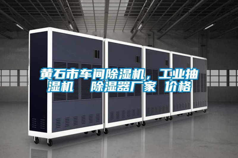 黃石市車間除濕機，工業抽濕機  除濕器廠家 價格