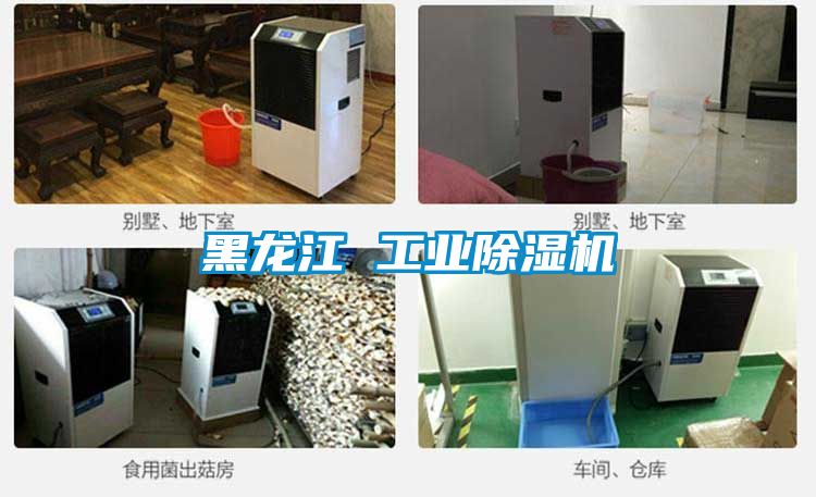 黑龍江 工業除濕機