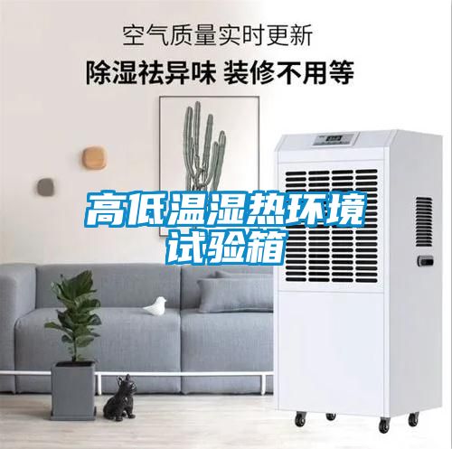 高低溫濕熱環境試驗箱