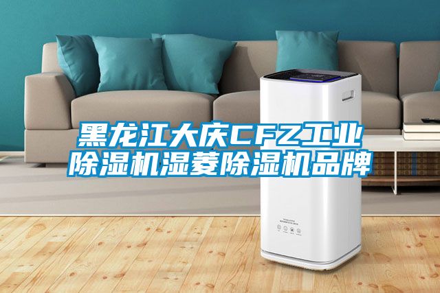 黑龍江大慶CFZ工業除濕機濕菱除濕機品牌