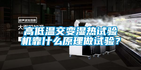高低溫交變濕熱試驗機靠什么原理做試驗？
