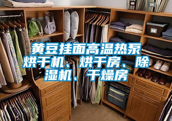 黃豆掛面高溫熱泵烘干機、烘干房、除濕機、干燥房