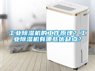 常見問題工業除濕機的工作原理？工業除濕機有哪些優缺點？