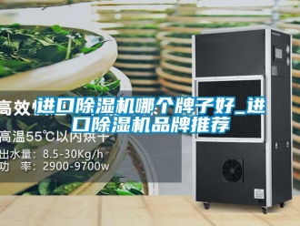 企業(yè)新聞進口除濕機哪個牌子好_進口除濕機品牌推薦