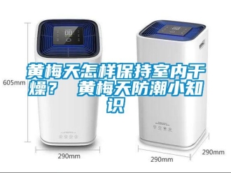 常見問題黃梅天怎樣保持室內干燥？ 黃梅天防潮小知識