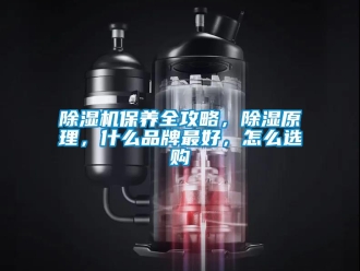 常見問題除濕機保養全攻略，除濕原理，什么品牌最好，怎么選購