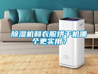 常見問題除濕機和衣服烘干機哪個更實用？