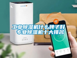 常見問題工業(yè)除濕機(jī)什么牌子好 專業(yè)除濕機(jī)十大排名
