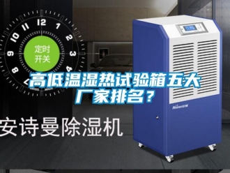 常見問題高低溫濕熱試驗箱五大廠家排名？