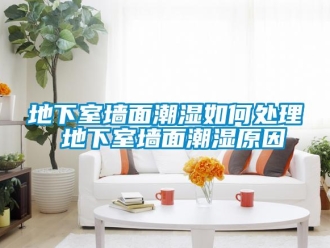 企業新聞地下室墻面潮濕如何處理 地下室墻面潮濕原因