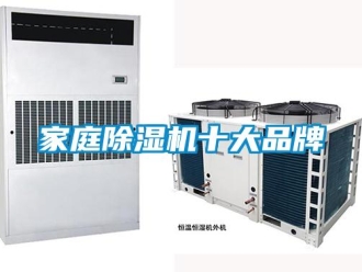 企業(yè)新聞家庭除濕機十大品牌