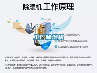 企業新聞工廠除濕機