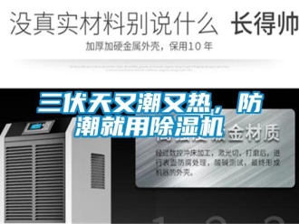 行業(yè)新聞三伏天又潮又熱，防潮就用除濕機