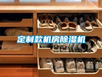 行業新聞定制款機房除濕機