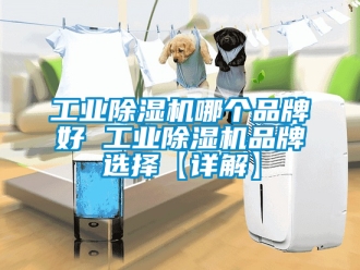 常見問題工業除濕機哪個品牌好 工業除濕機品牌選擇【詳解】
