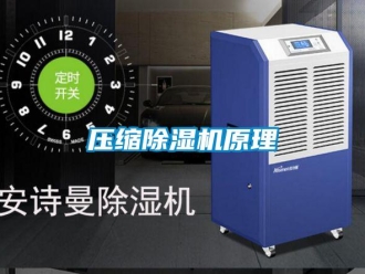 行業(yè)新聞壓縮除濕機(jī)原理