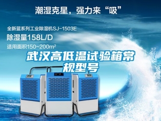 常見問題武漢高低溫試驗箱常規(guī)型號