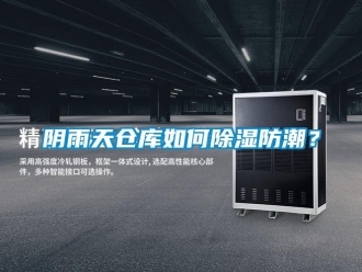 常見問題陰雨天倉庫如何除濕防潮？