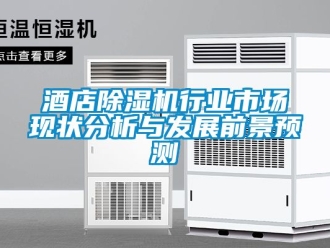 行業新聞酒店除濕機行業市場現狀分析與發展前景預測