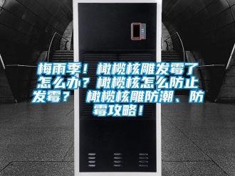 常見問題梅雨季！橄欖核雕發霉了怎么辦？橄欖核怎么防止發霉？ 橄欖核雕防潮、防霉攻略！