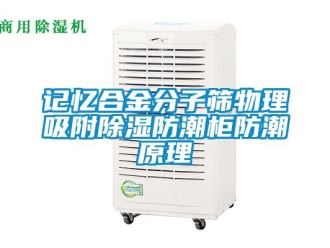 常見問題記憶合金分子篩物理吸附除濕防潮柜防潮原理