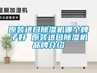 企業新聞原裝進口除濕機哪個牌子好 原裝進口除濕機品牌介紹