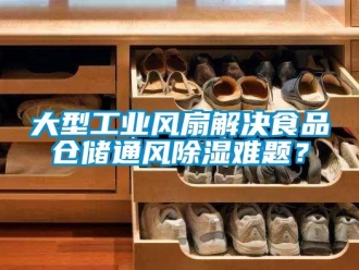 企業(yè)新聞大型工業(yè)風扇解決食品倉儲通風除濕難題？