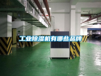 常見問題工業除濕機有哪些品牌