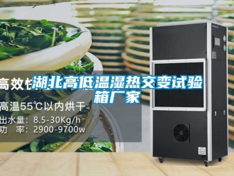 常見問題湖北高低溫濕熱交變?cè)囼?yàn)箱廠家
