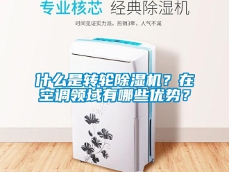 常見(jiàn)問(wèn)題什么是轉(zhuǎn)輪除濕機(jī)？在空調(diào)領(lǐng)域有哪些優(yōu)勢(shì)？