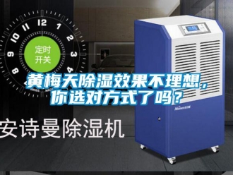 常見問題黃梅天除濕效果不理想，你選對方式了嗎？