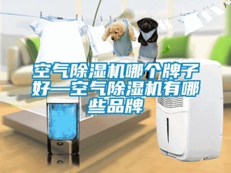 企業新聞空氣除濕機哪個牌子好—空氣除濕機有哪些品牌