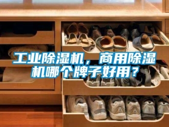常見(jiàn)問(wèn)題工業(yè)除濕機(jī)，商用除濕機(jī)哪個(gè)牌子好用？