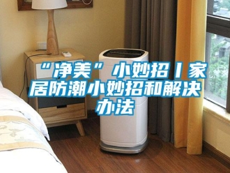 企業(yè)新聞“凈美”小妙招丨家居防潮小妙招和解決辦法