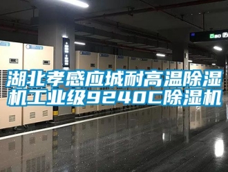 常見問題湖北孝感應(yīng)城耐高溫除濕機(jī)工業(yè)級(jí)9240C除濕機(jī)